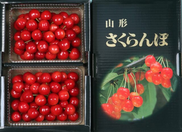 さくらんぼ