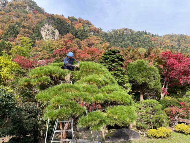 みどりの管理