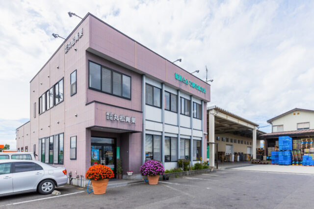 株式会社丸松青果